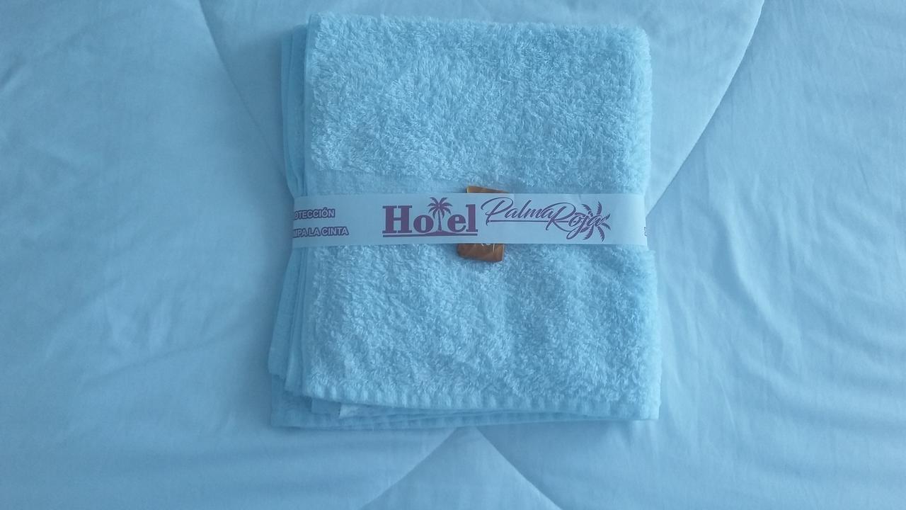 Hotel Palma Roja Granada  Luaran gambar